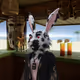 BunnyBusiness