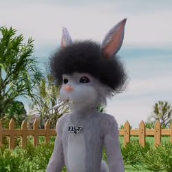 Fluffy_Business