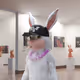 1429