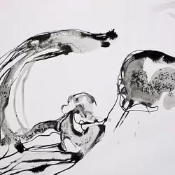 25