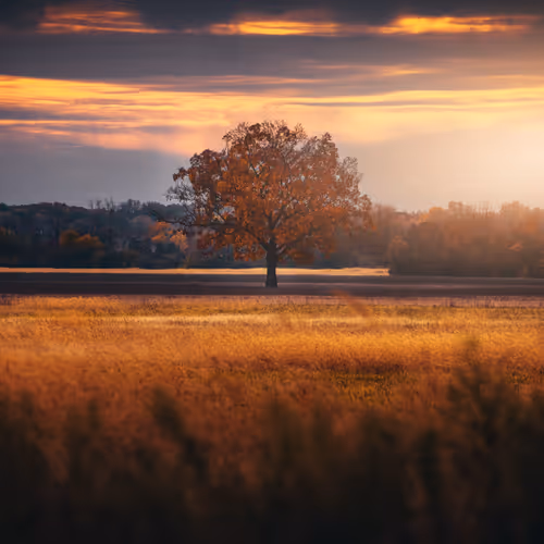 Please Don't Wake Me From This Dream