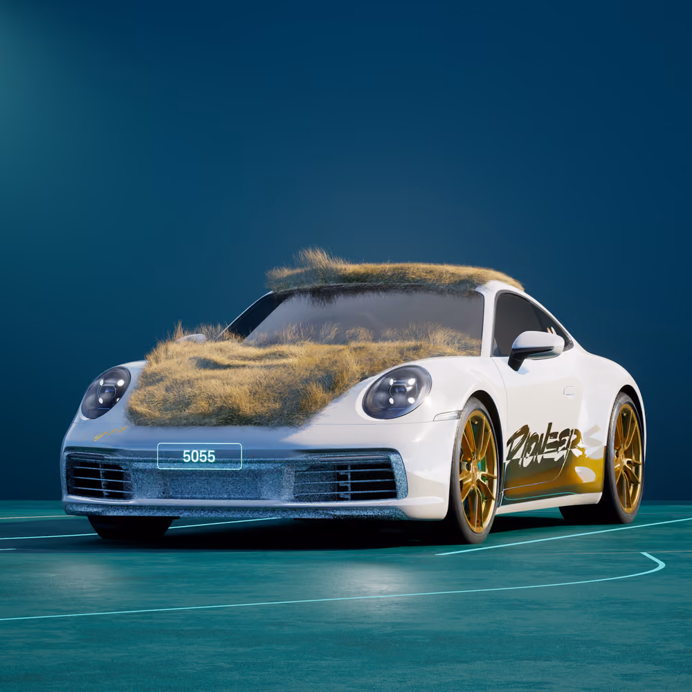 PORSCHΞ 911 5055