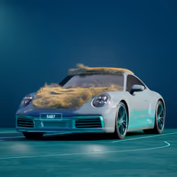 PORSCHΞ 911 5487