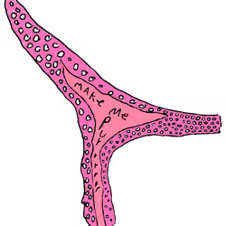 69681713620692568548219919835365990726209545389675670040812446178086161396770