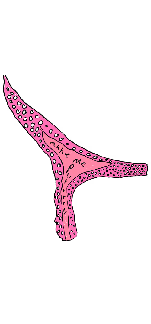 Item #69681713620692568548219919835365990726209545389675670040812446178086161396770 Media