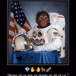 66426655043571027159132205303479852647054262423250656370142322678856438956026