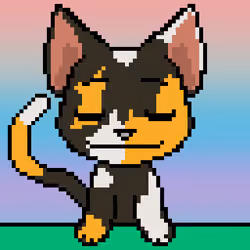Calico #251