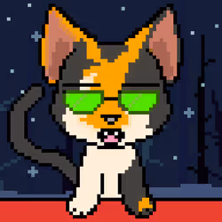 Calico #240