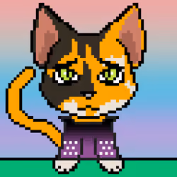 Calico #216