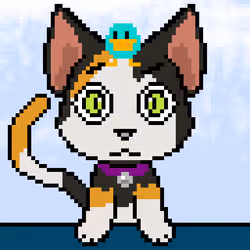 Calico #18