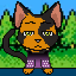 Calico #204