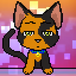 Calico #71