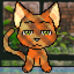 Calico #177