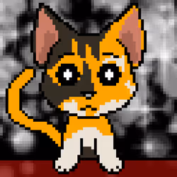 Calico #7