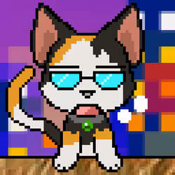 Calico #252