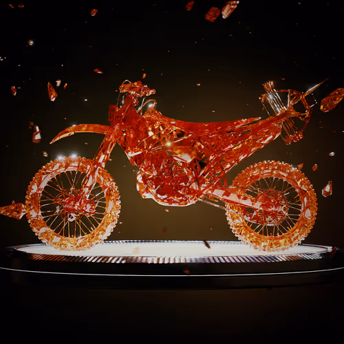 Garnet Bike