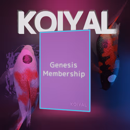 KOIYAL Genesis Membership Drop