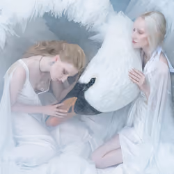 The Swan Princess