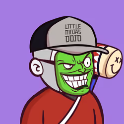 Little Ninjas Dojo #1311