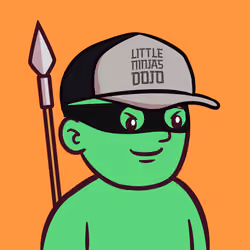 Little Ninjas Dojo #724