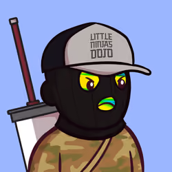 Little Ninjas Dojo #800