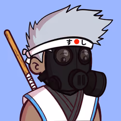 Little Ninjas Dojo #2992