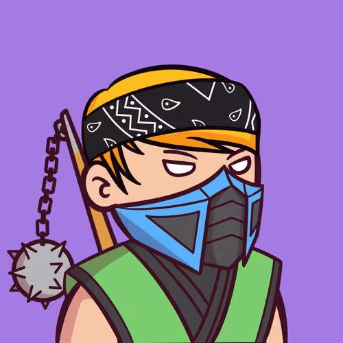 Little Ninjas Dojo #542
