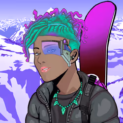 Ski Collection #25