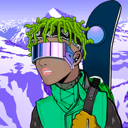 Ski Collection #22