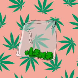 420 StonerBox NFT #343