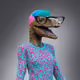3369