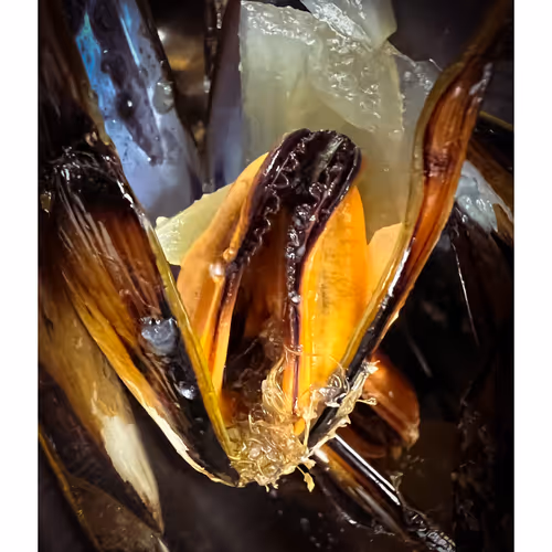 Everything Reminds Me Of Her