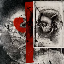 The Segmented Gaze, 1/1, 2010