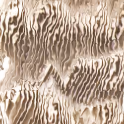 Pleated Sculpture