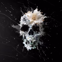 Bloom Splash