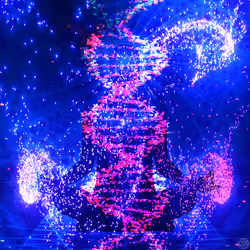 DNA Flows
