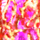 11002