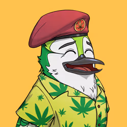 33