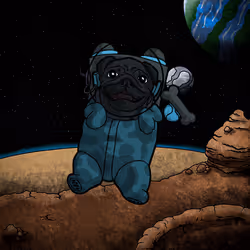 Cosmo-Pets #6