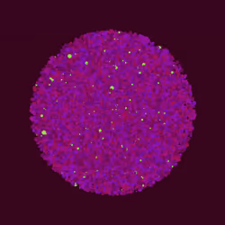 The Merge #485