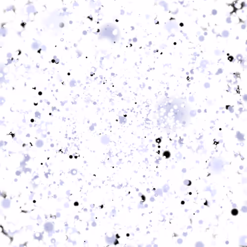The Merge #66