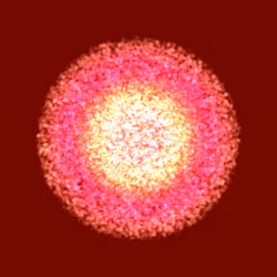 The Merge #318
