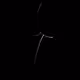 BSP3 The Lines
