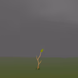 My Pet Tree