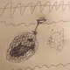 26