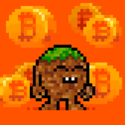 The Orangez #3784