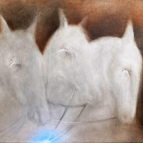 Dream Riders