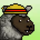 537