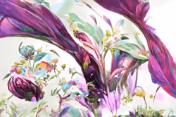 Art Banner #6355