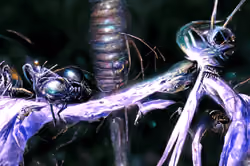 Art Banner #2443